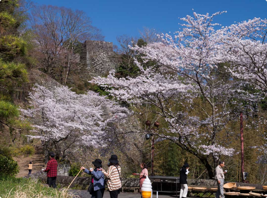 天空の城　岡城趾　コース1